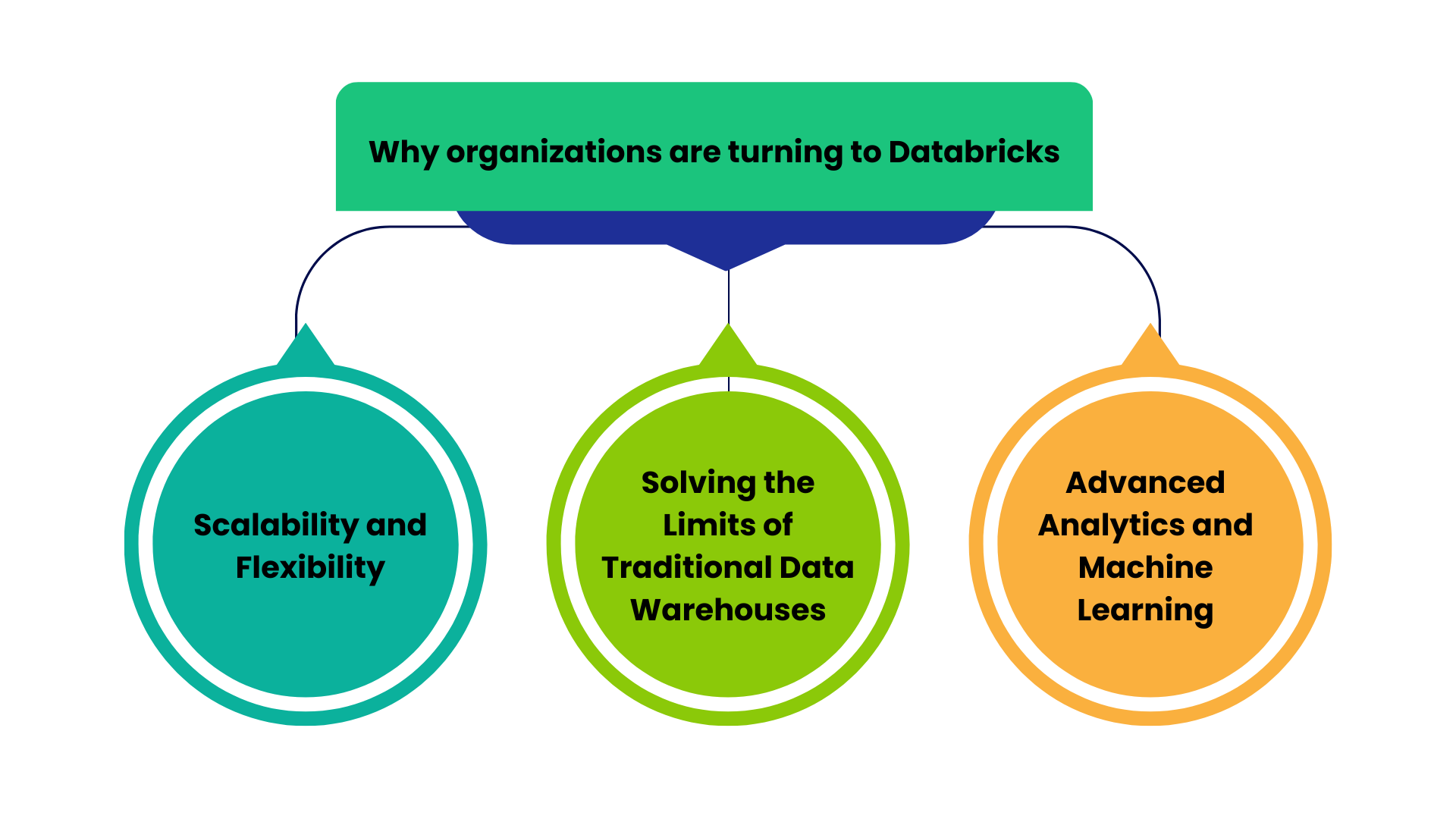 why organizations are turning to Databricks 